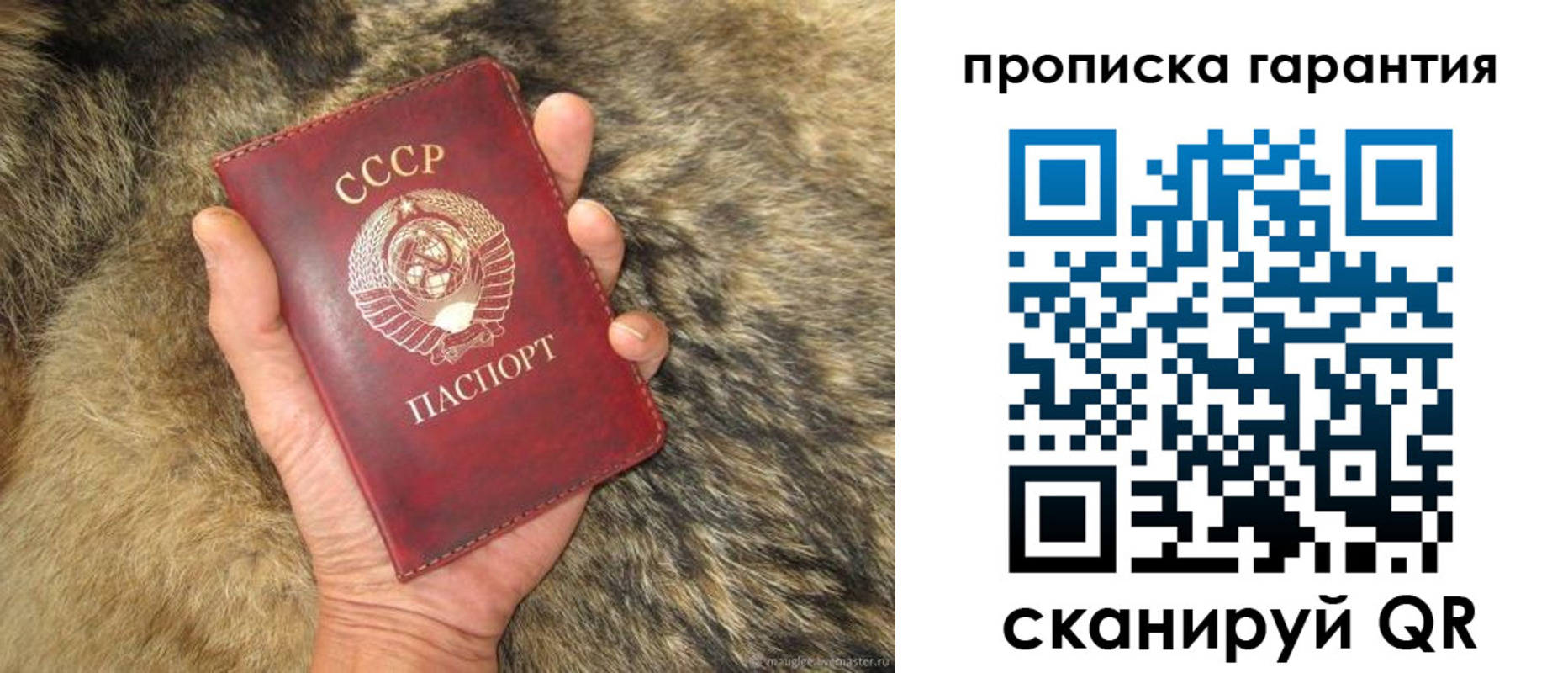 прописка паспорт в Пионерском